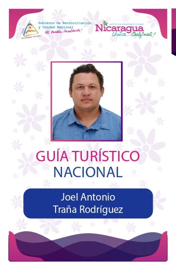 JOEL ANTONIO TRAÑA RODRIGUEZ