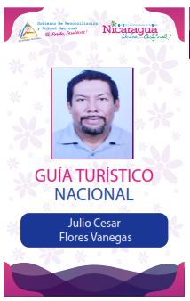 JULIO CESAR FLORES VANEGAS