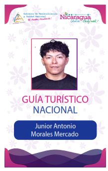 JUNIOR ANTONIO MORALES MERCADO