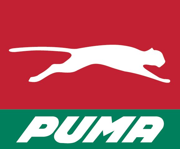 PUMA NINDIRI