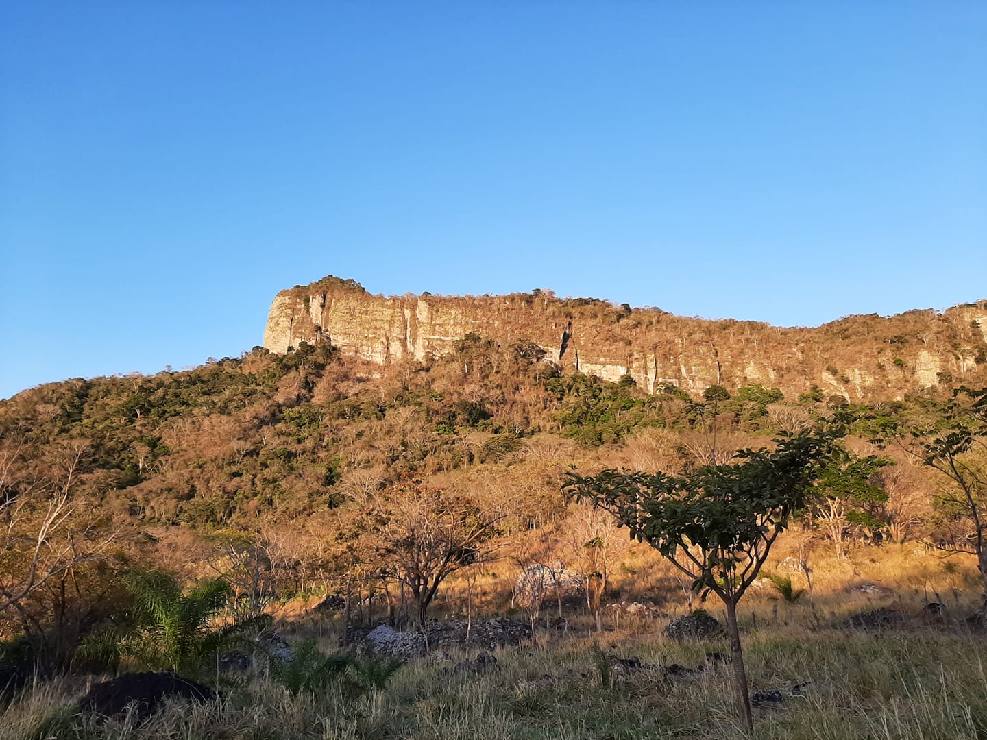 Cerro Los Andes - Serranía de Amerrique