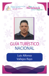 LUIS ALFONSO VALLEJOS RAYO