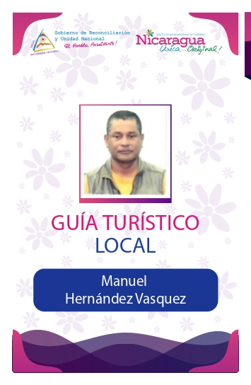 MANUEL HERNANDEZ VASQUEZ