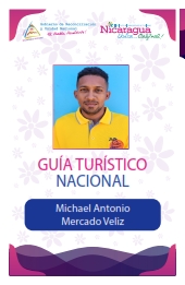 MICHAEL ANTONIO MERCADO VELIZ