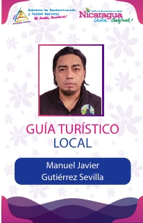 MANUEL JAVIER GUTIERREZ SEVILLA