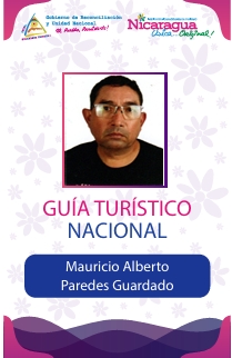 MAURICIO ALBERTO PAREDES GUARDADO