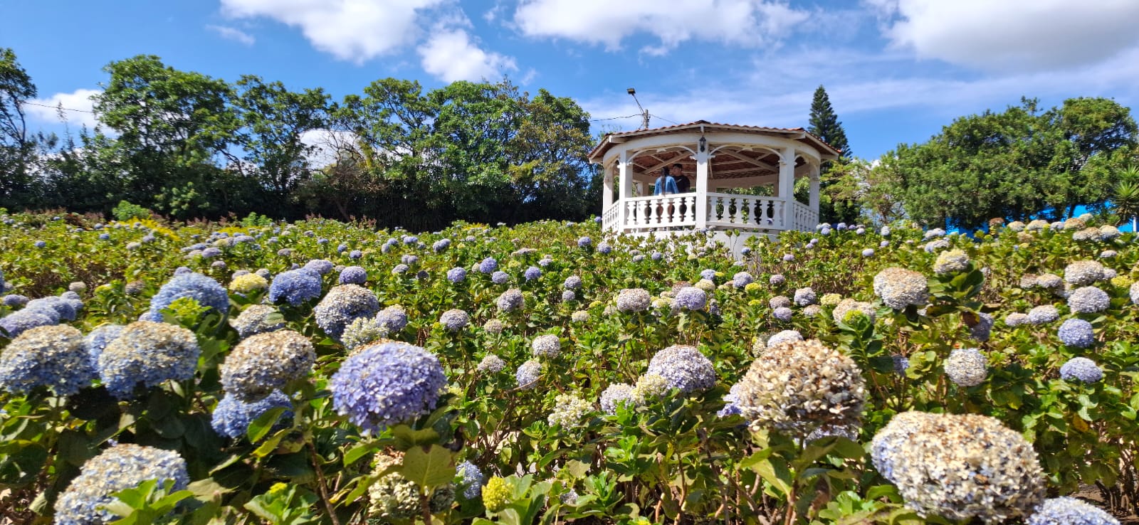 Parque Las Mil Flores
