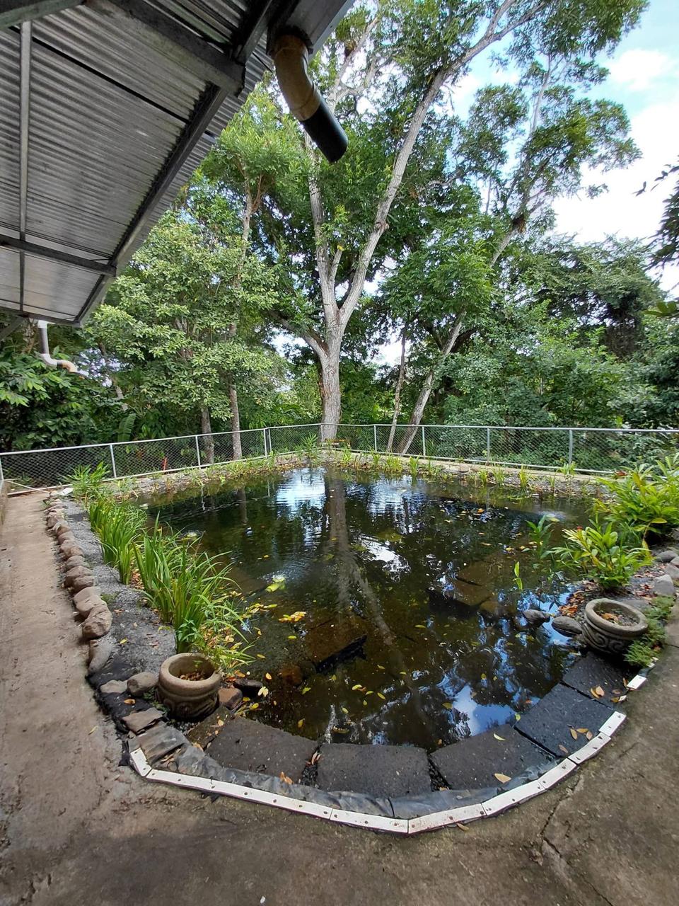 NATURALEZA DE LA PAZ