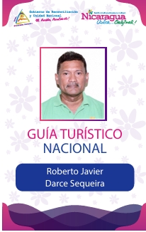 ROBERTO JAVIER DARCE SEQUEIRA