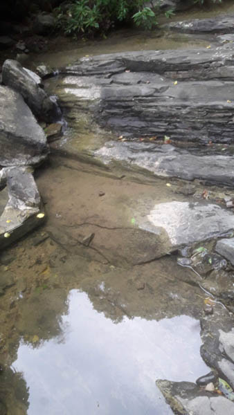 El Salto de la Zopilotera