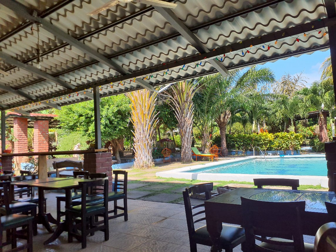 TERRAZA HAMACAS