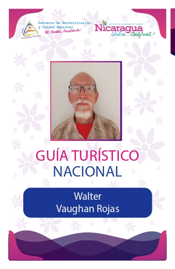 WALTER VAUGHAN ROJAS