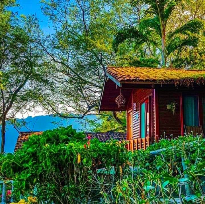 POSADA ECOLOGICA LA ABUELA