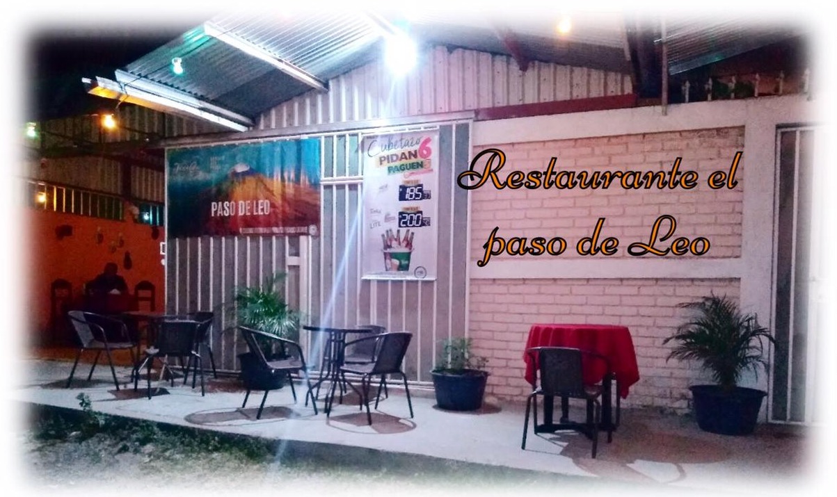 EL PASO DE LEO