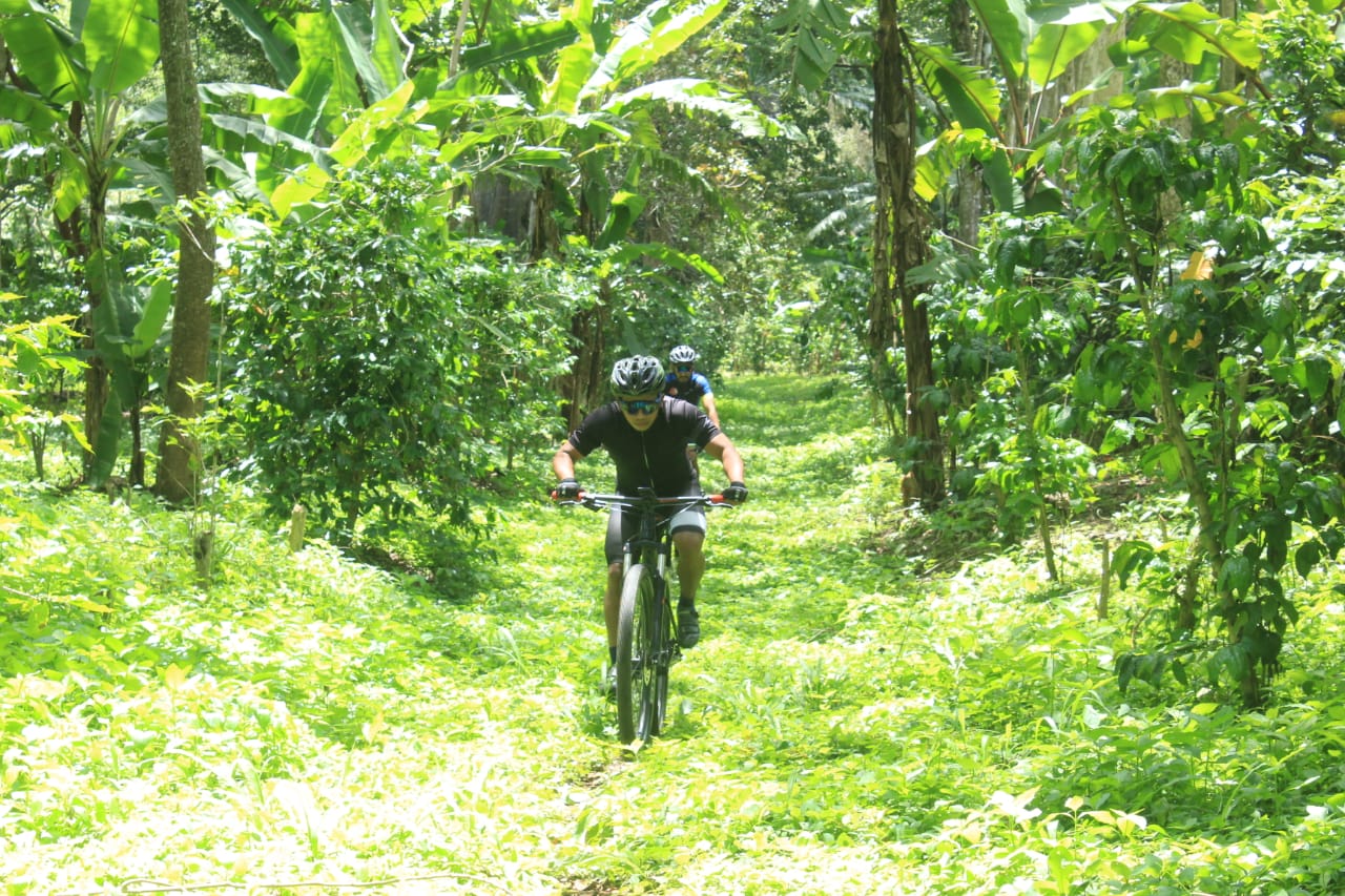 Finca La Esperanza