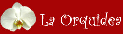 LA ORQUIDEA