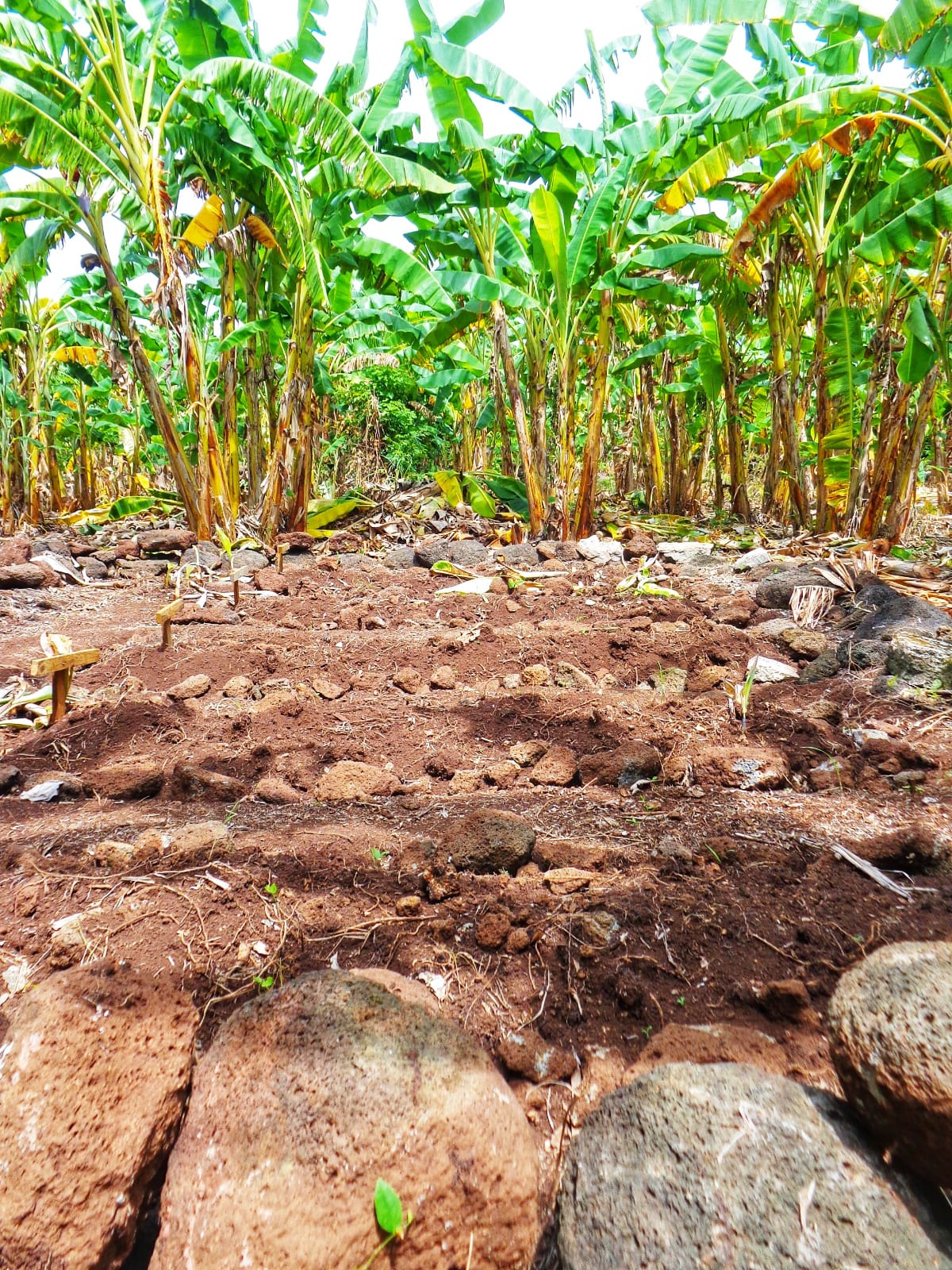 Muro de los Esclavos y Tumbas de Esclavos