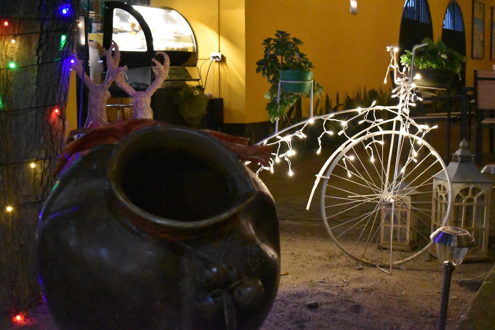 EL PATIO LLAMARADA DEL BOSQUE