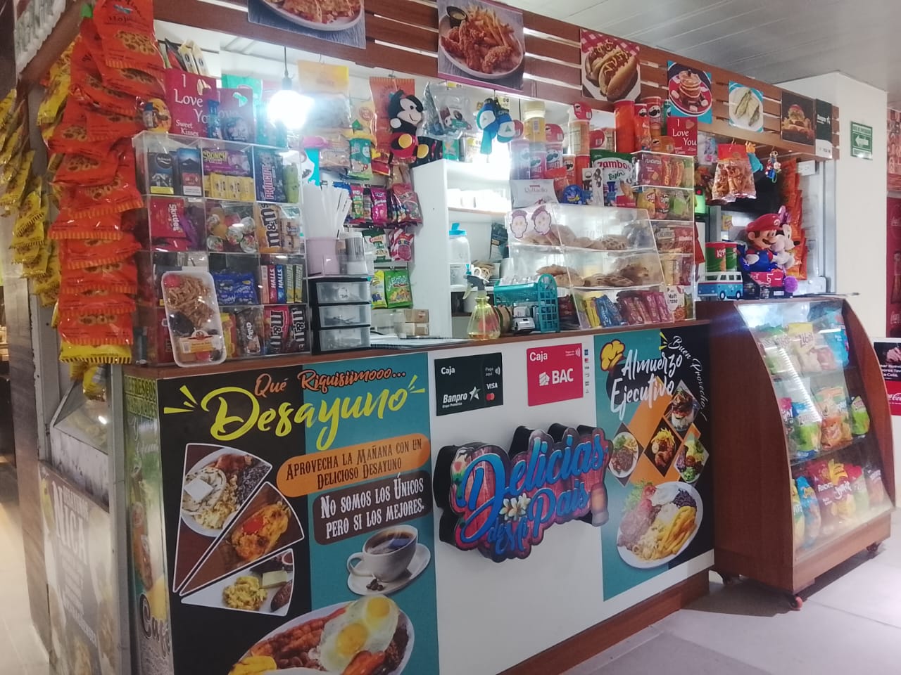 DELICIAS DE MI PAIS N°2
