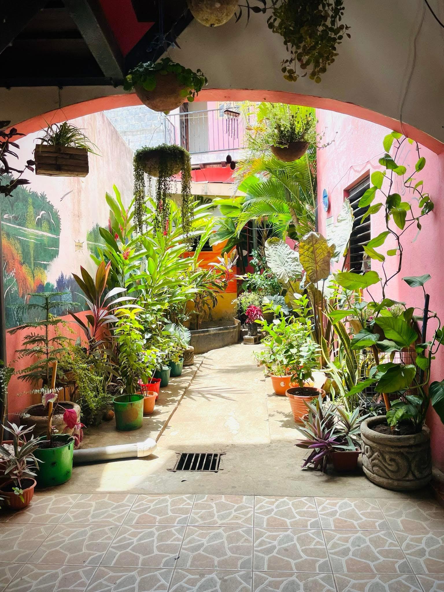 EL TAMARINDO