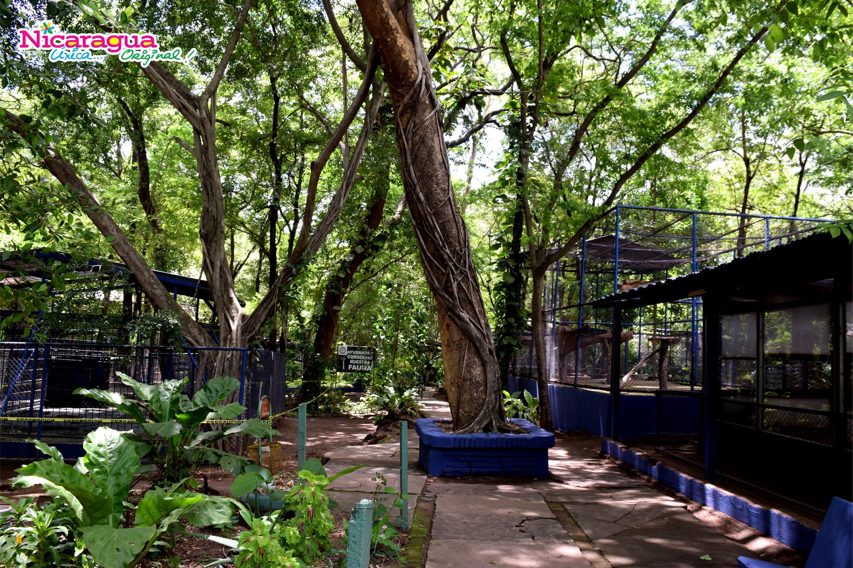 Zoológico Thomas Belt