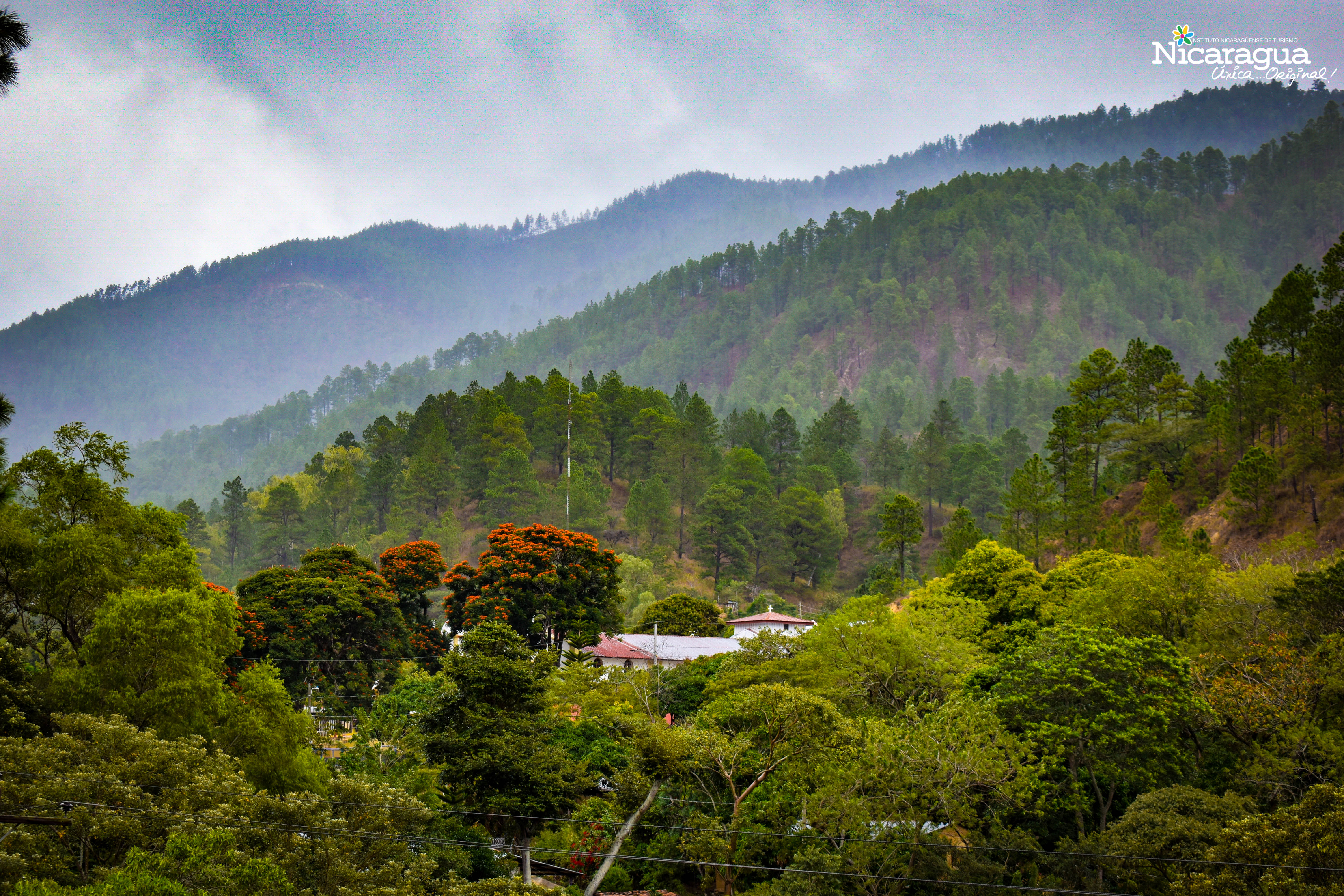 Reserva Natural Serranía Dipilto y Jalapa