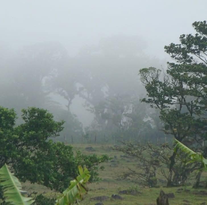 ESTANCIA LOS APANTES