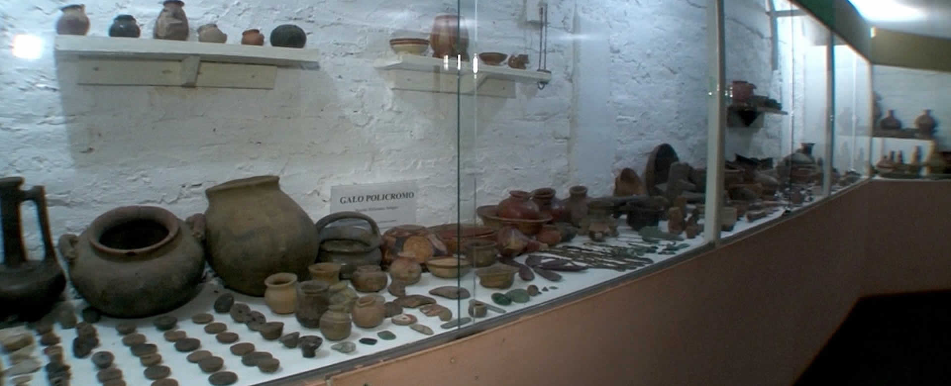 Museo Numismático El Ceibo