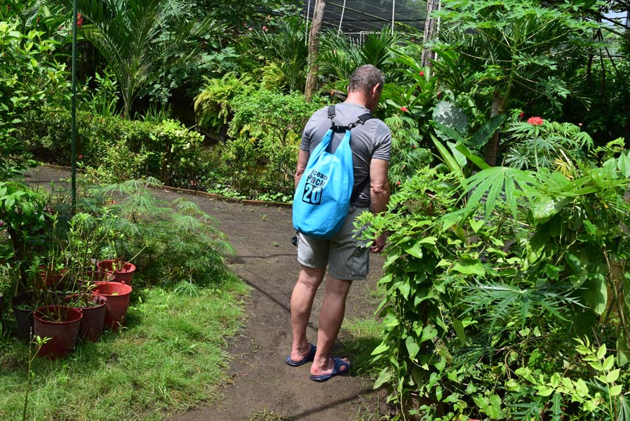 Reserva Natural Charco Verde y Mariposario.