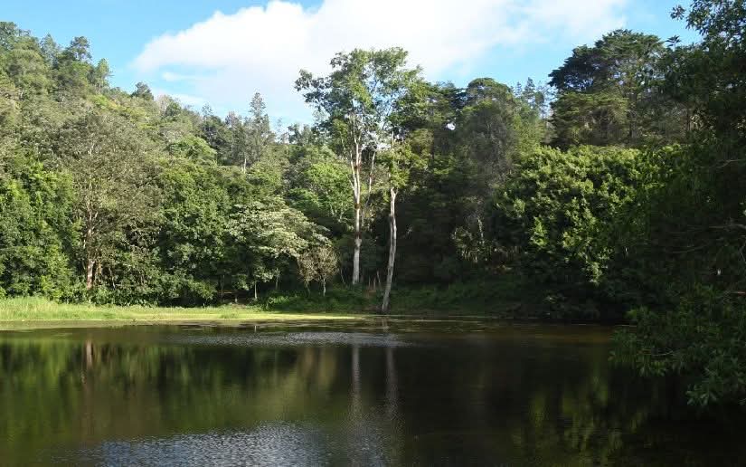 Laguna de Venecia