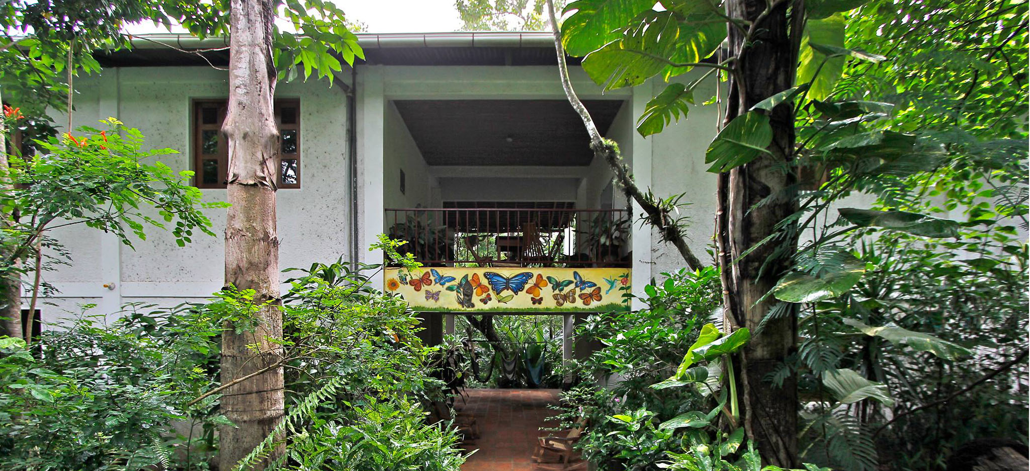LA MARIPOSA