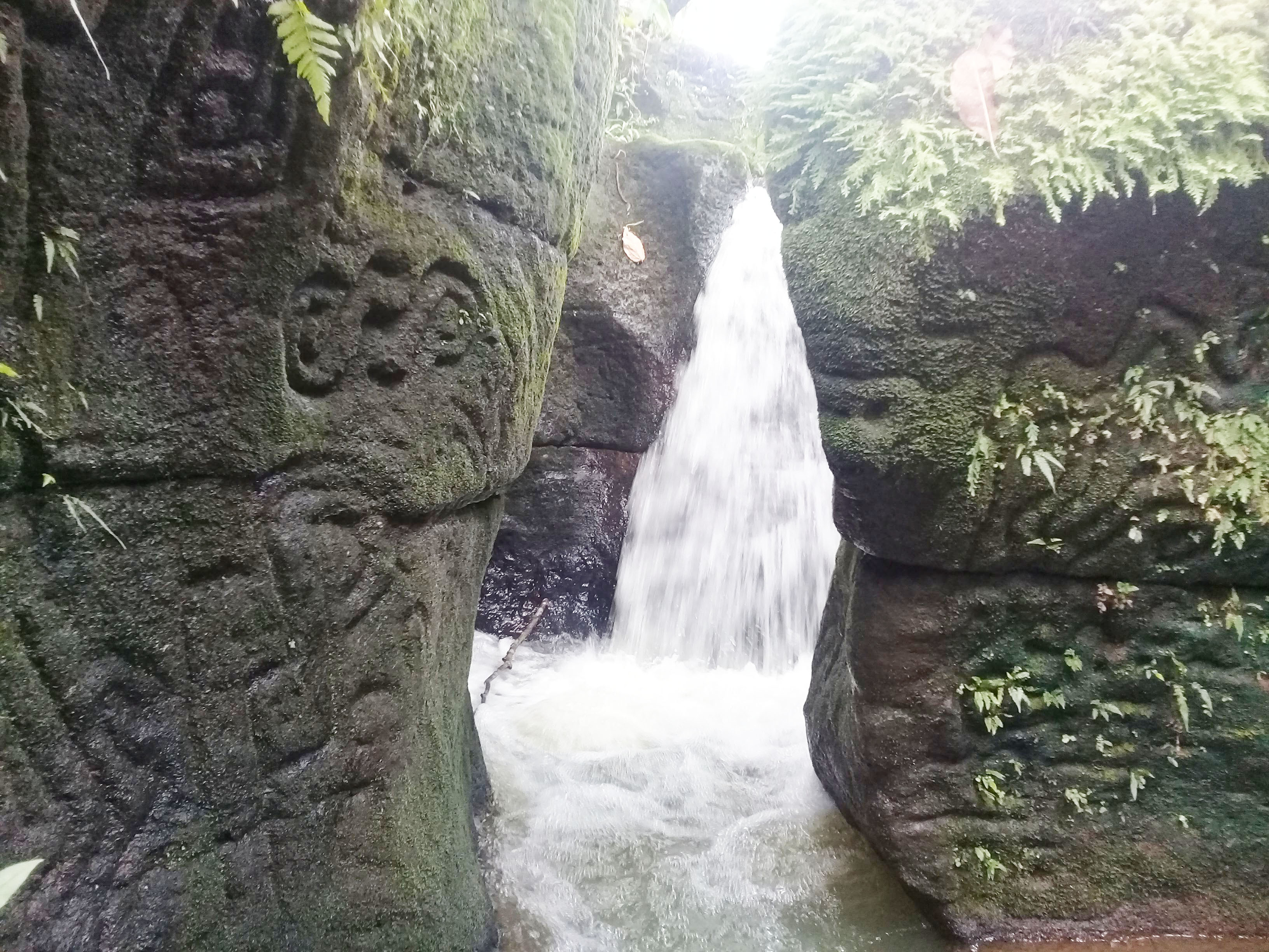 Petrograbados Las Pavas