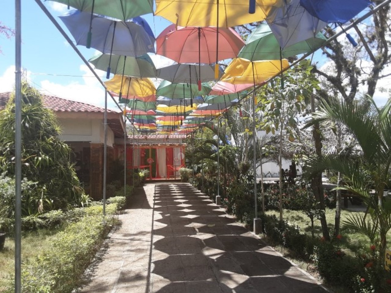 CAMPESTRE MA.SABITA