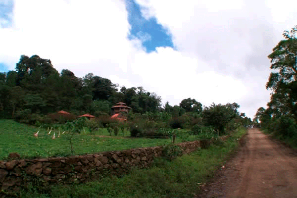 Paisaje Terrestre Protegido Miraflor – Moropotente