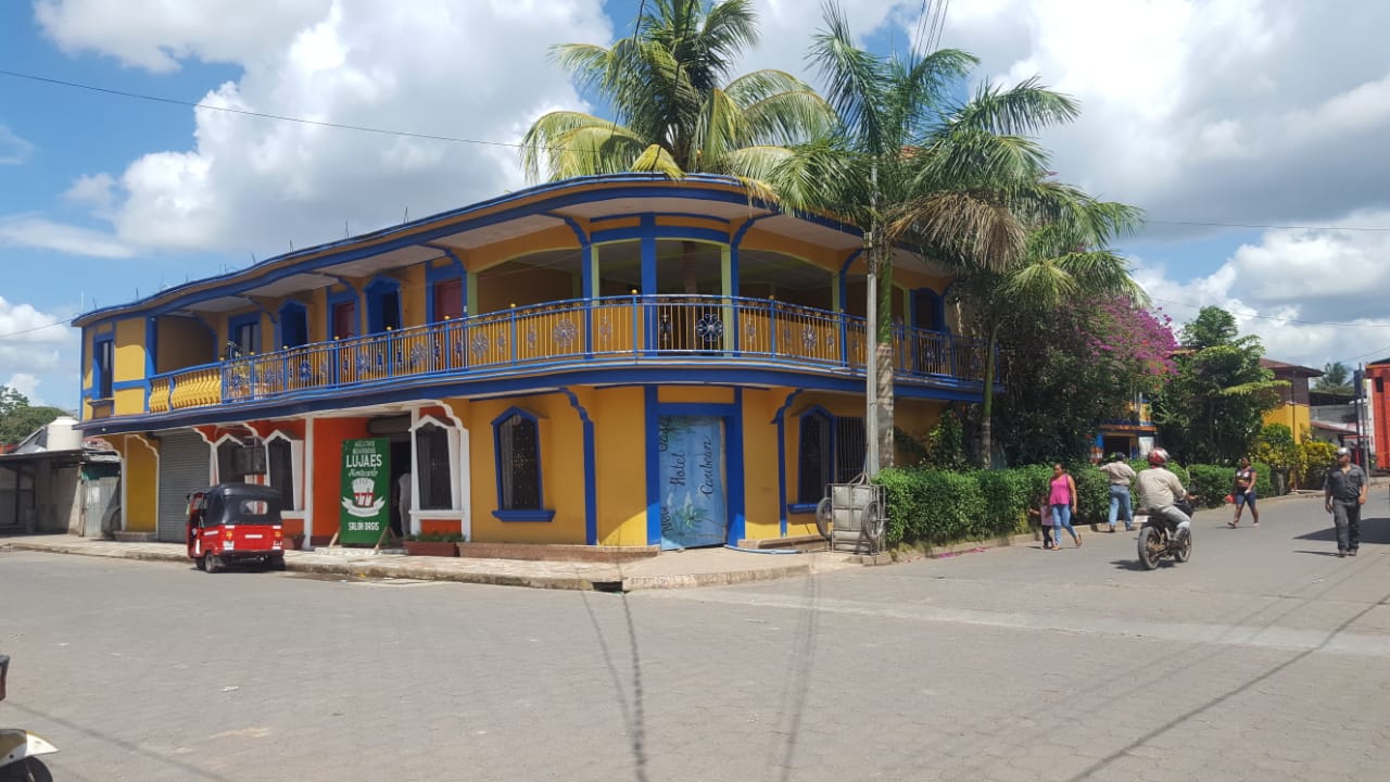 NEW OASIS DEL CARIBE