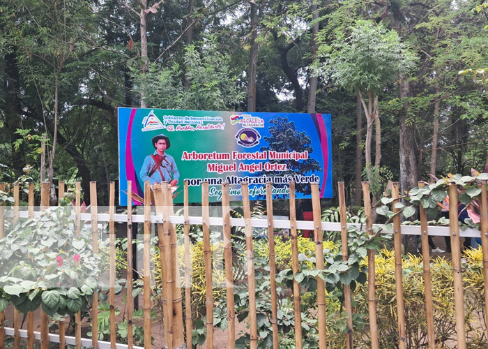 Arboretum  Municipal de Altagracia.