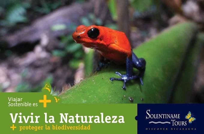 SOLENTINAME TOURS