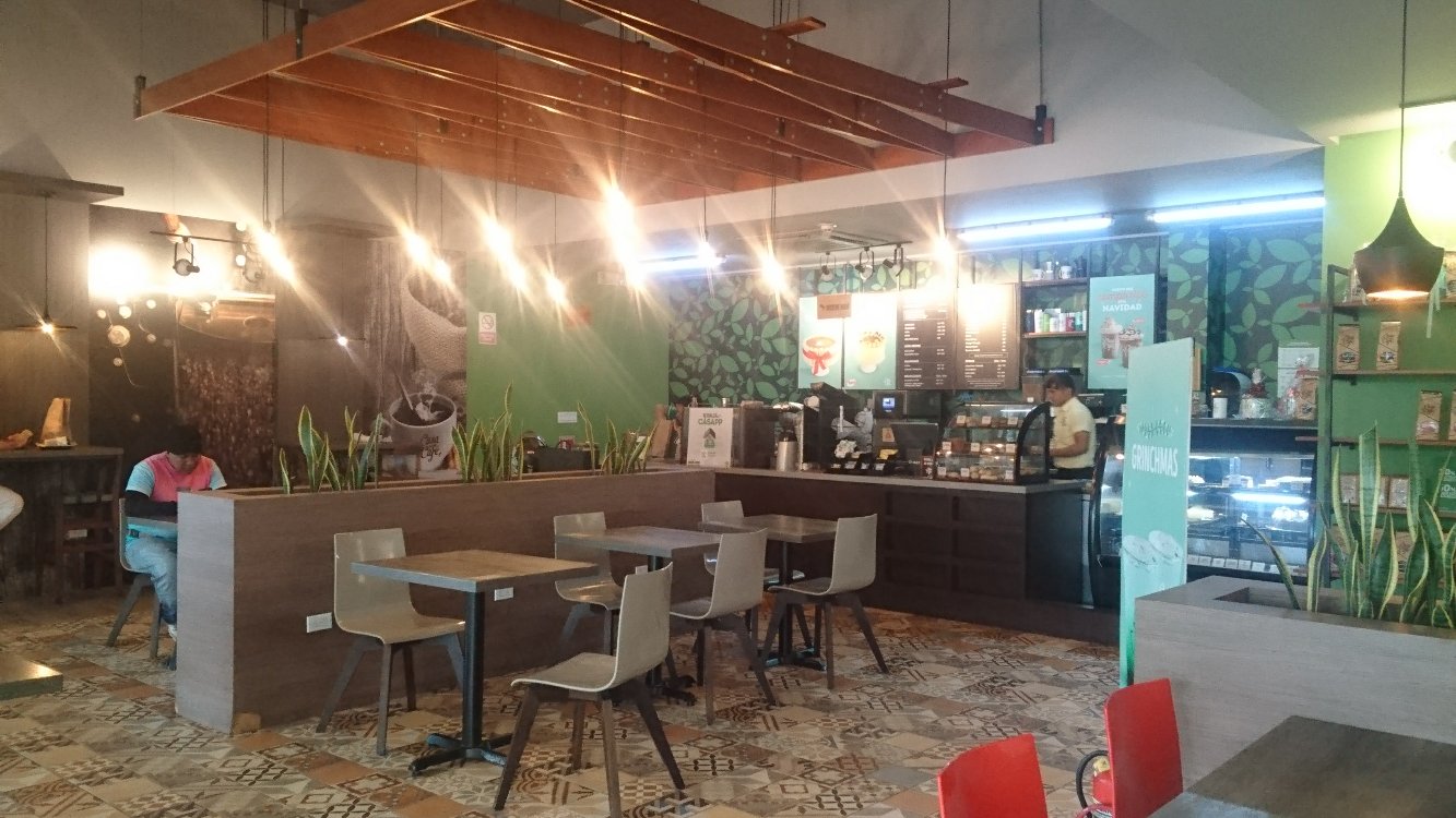 CASA DEL CAFE PLAZA VISTANA