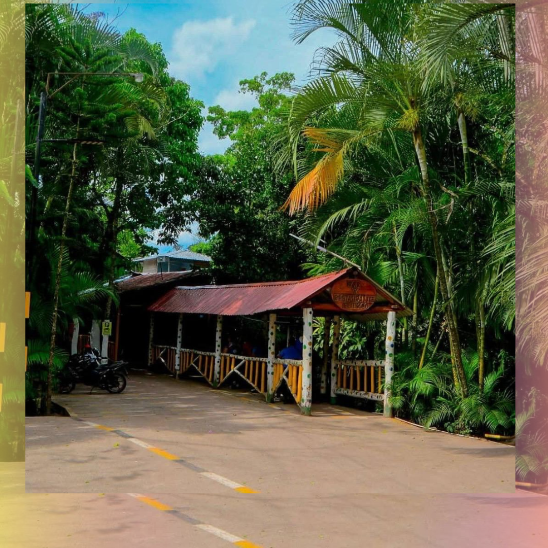 EL TIPICO
