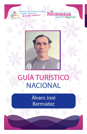 ALVARO JOSE BERMUDEZ